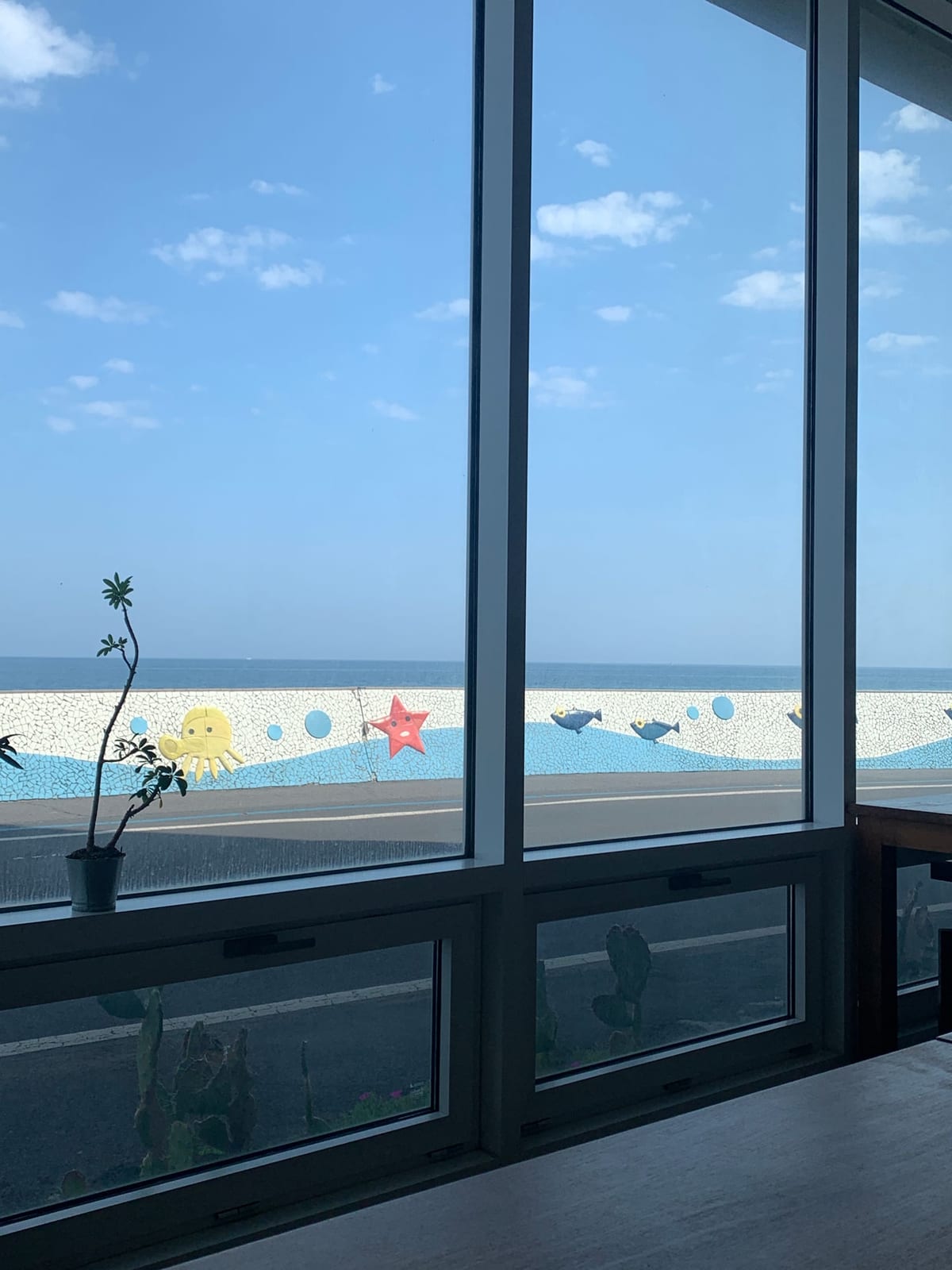out the window of (salt)